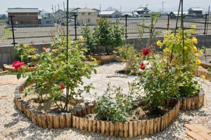 Myバラ園