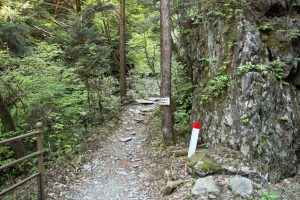 登山道